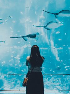 A woman is observing fish in an aquarium.